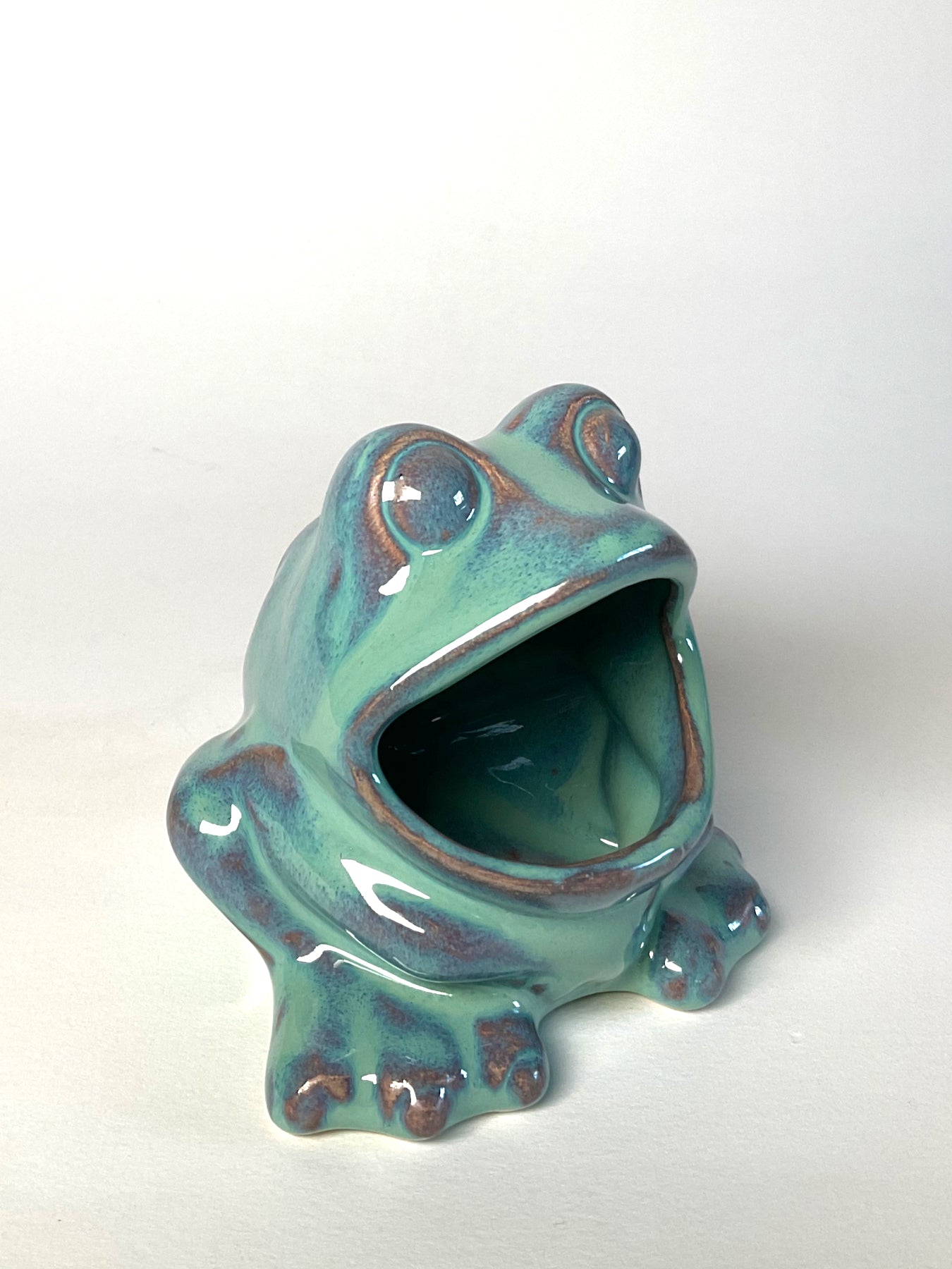 Frog Sponge Holder 🐸